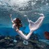 angelal_li